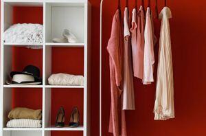 Organization tips. Walk-in closet. Closet organization. How to organize your walk-in closet.